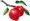 Разделитель