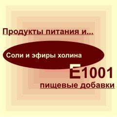 Е1001
