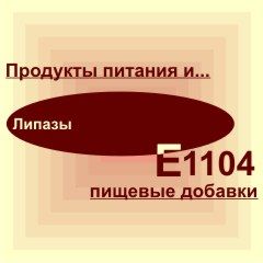 Е1104