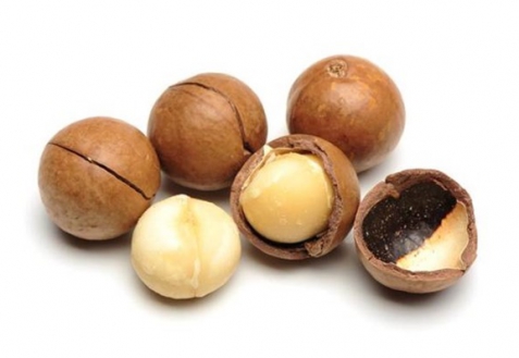 Орехи макадамии