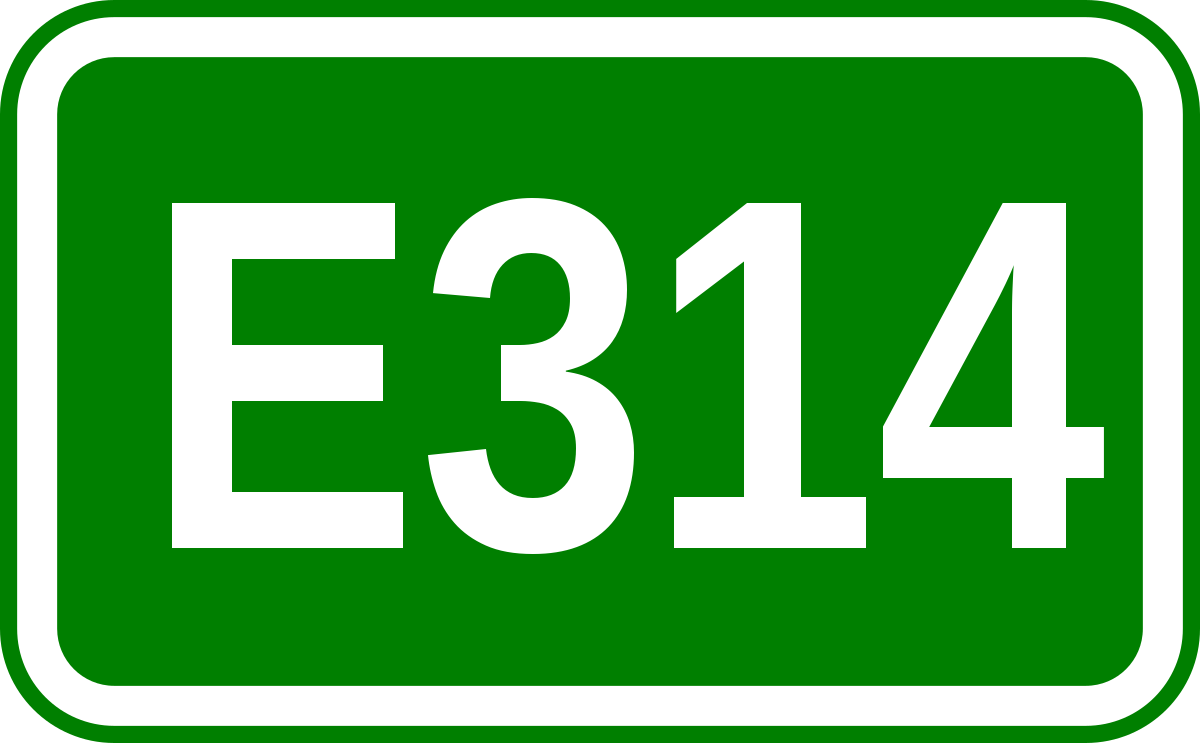 E314