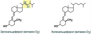 Витамин D (кальциферолы)